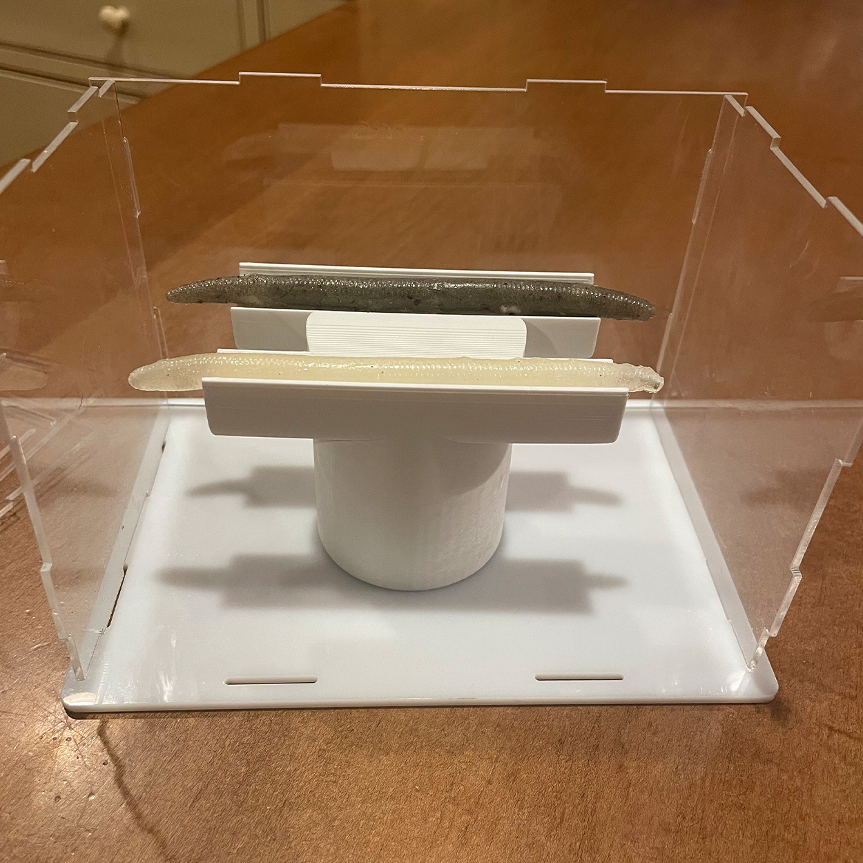 [Titre du site] Ce pêcheur a remporté son salon scientifique pour des leurres de pêche biodégradables