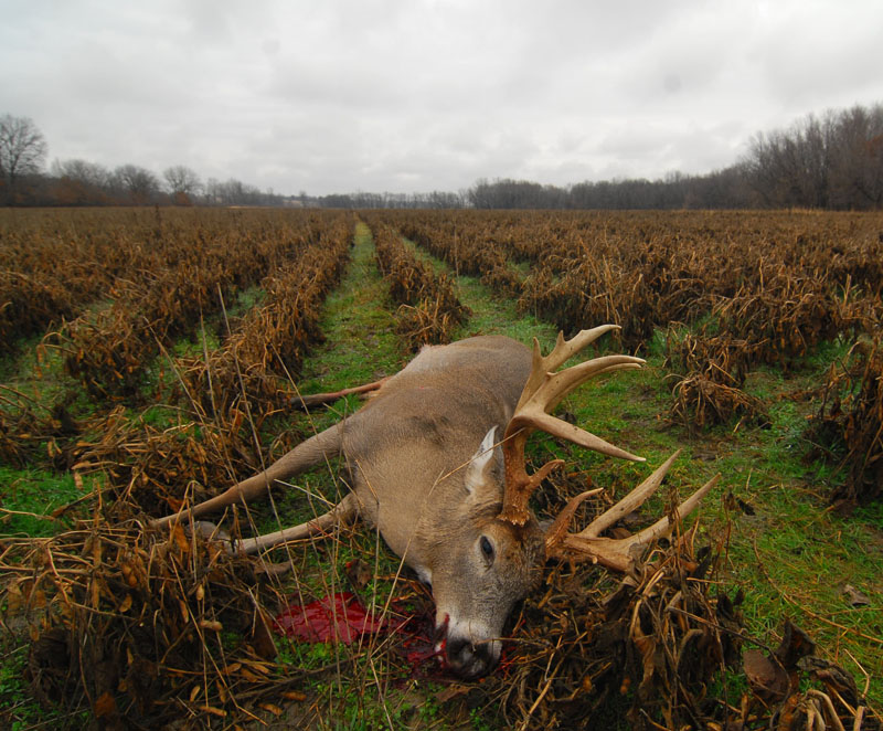 [Titre du site] J'ai chassé la ferme de mon père une dernière fois et j'ai étiqueté le meilleur mâle de ma vie
