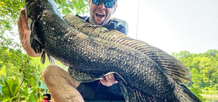 Podcast de frappe rapide: ne faites pas ces erreurs de tête de serpent communes Podcast de frappe rapide: ne faites pas ces erreurs de tête de serpent communes