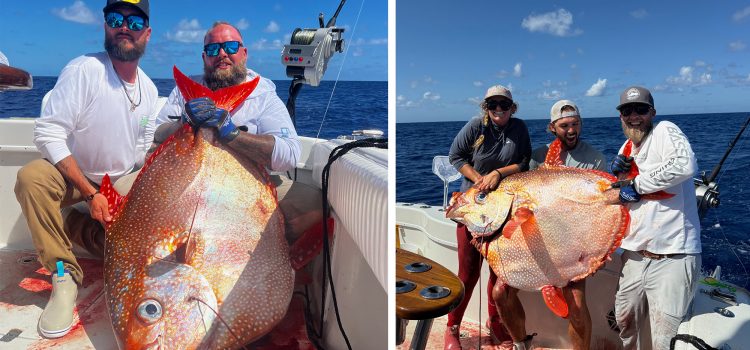 Les pêcheurs attrapent des poissons de lune incroyablement rares en Floride
