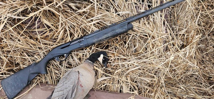 Revue du fusil de fusil Benelli M2: The Ultimate Mid-Priced SemiAuto
