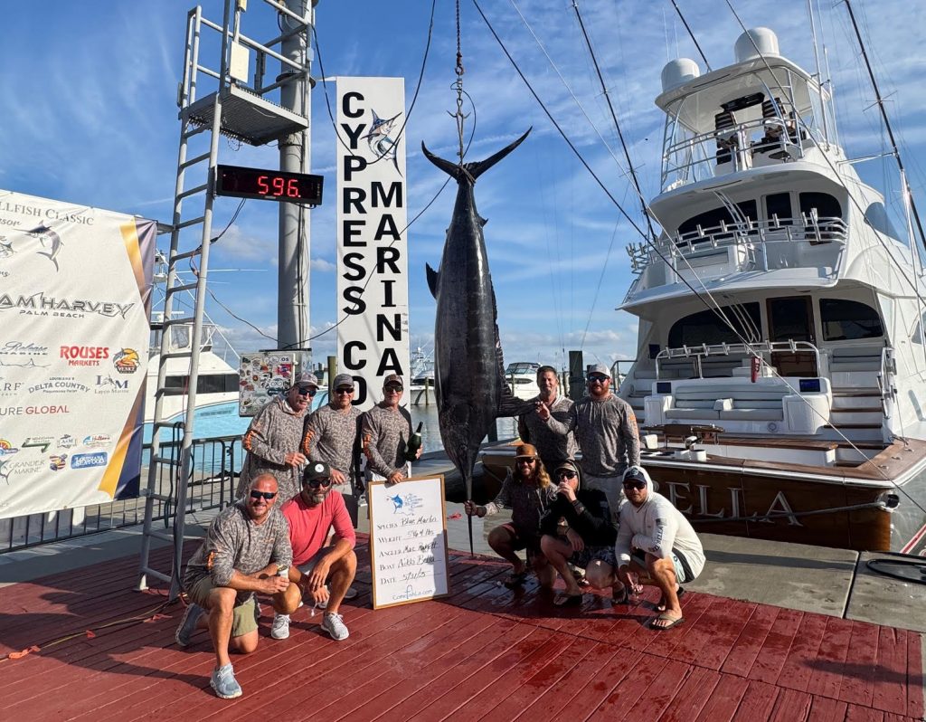 Tagged Yellowfin Thon récupéré à l'intérieur d'un marlin bleu