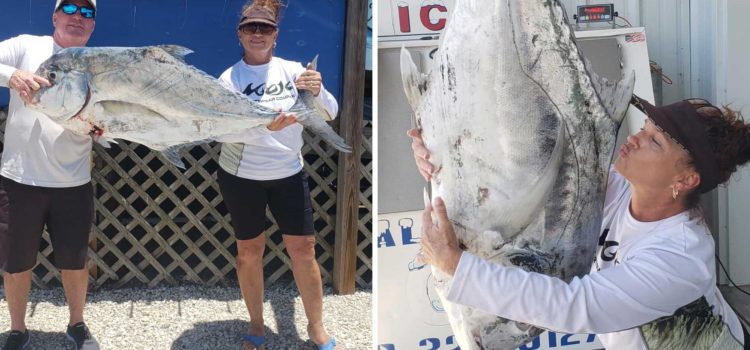 "Le tout était un miracle." Floride Woman atterrit les poissons record potentiels sur une ligne de 20 livres
