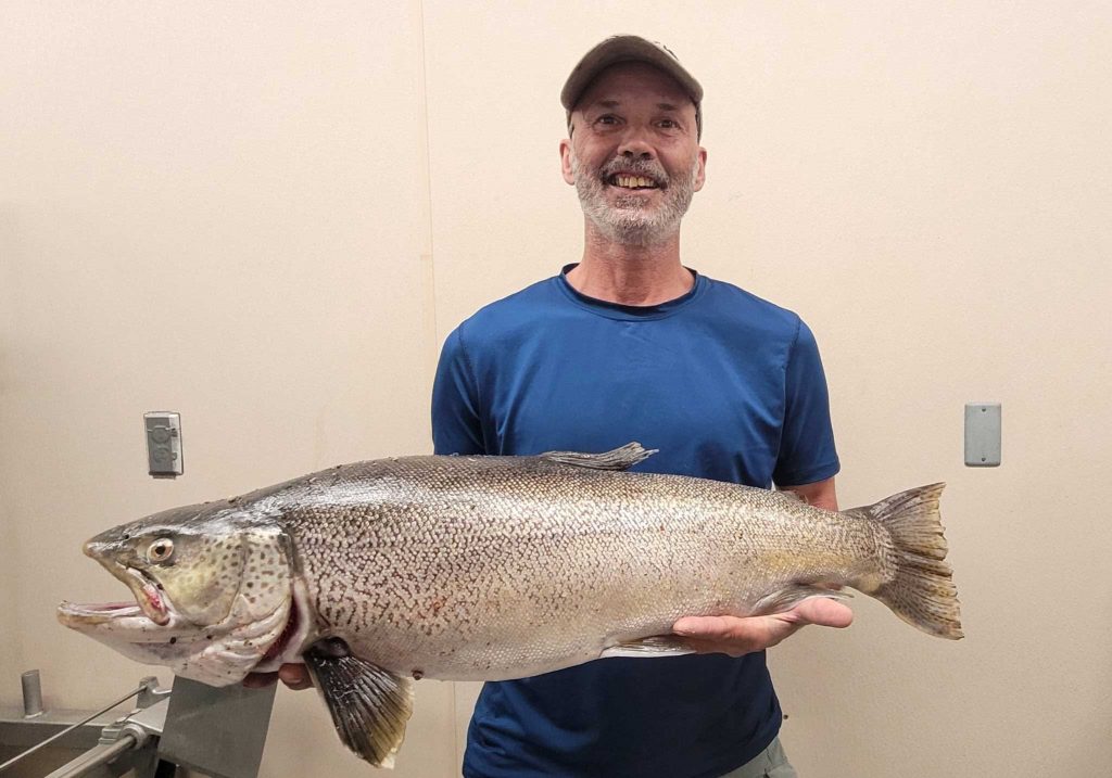 Le pêcheur du Wyoming attrape une truite de tigre enregistrée sur une minuscule canne à mouche