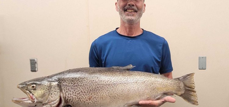 Le pêcheur du Wyoming attrape une truite de tigre enregistrée sur une minuscule canne à mouche
