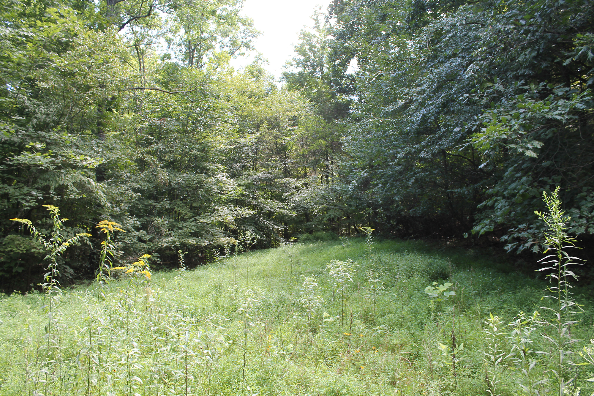 [Titre du site] 29 raisons pour lesquelles vos parcelles de nourriture sont nulles