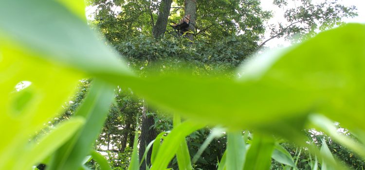 29 raisons pour lesquelles vos parcelles de nourriture sont nulles 29 raisons pour lesquelles vos parcelles de nourriture sont nulles