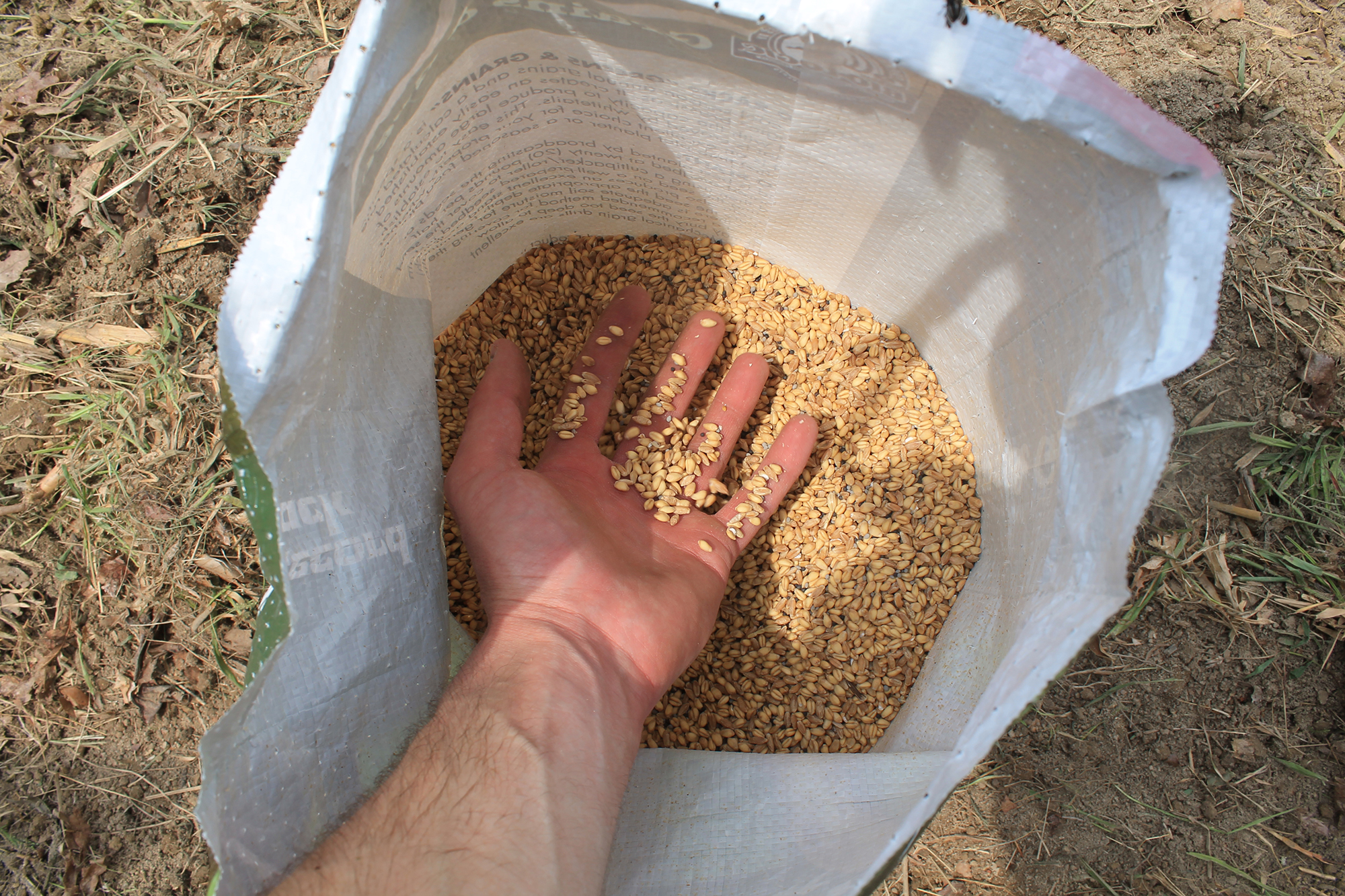 [Titre du site] 29 raisons pour lesquelles vos parcelles de nourriture sont nulles