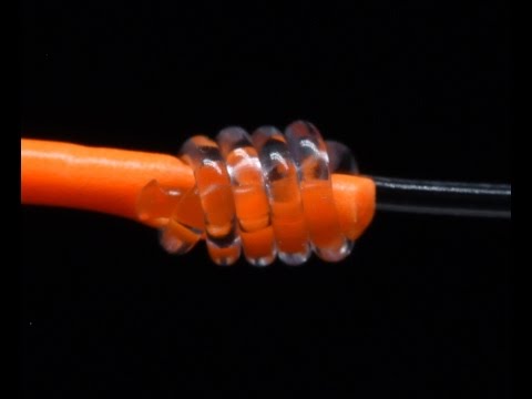 [Titre du site] 8 raisons sournoises pour lesquelles vous continuez à perdre de gros poissons