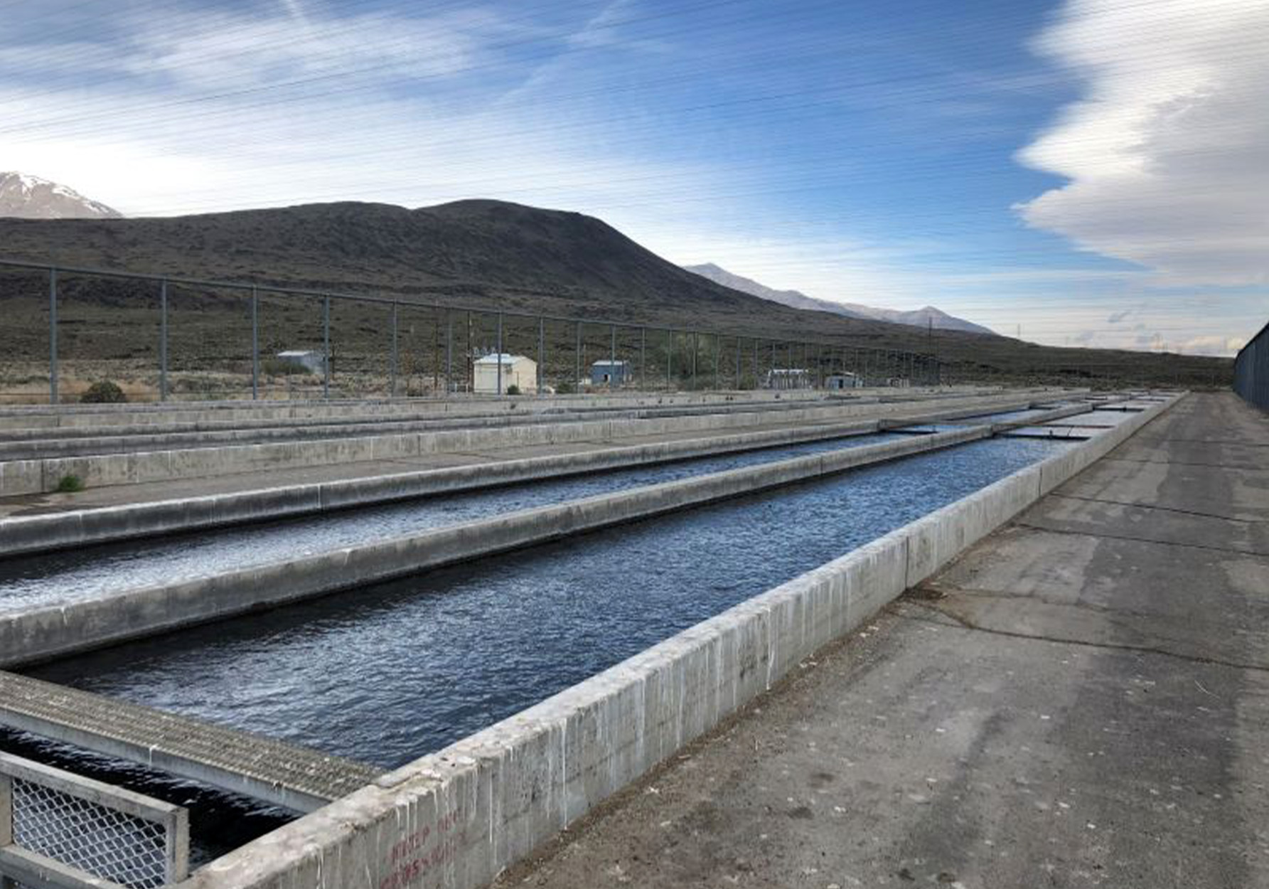 [Titre du site] Fish Kill at California Fish Hatchery aura un impact sur les bas pendant des années