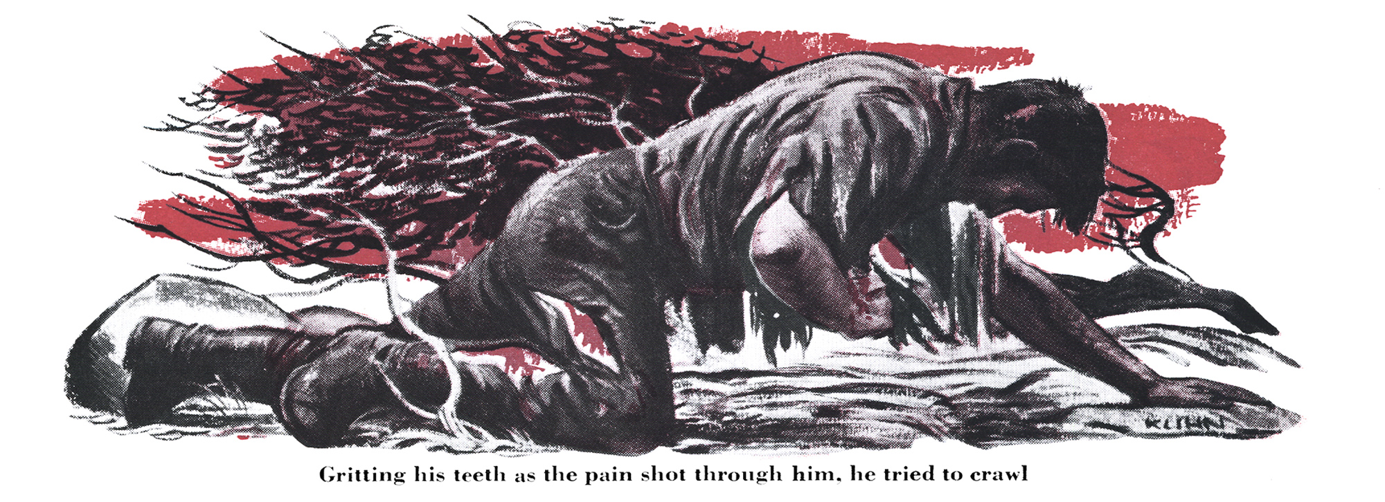 [Titre du site] Il a été mutilé par un ours brun et est parti pour mort