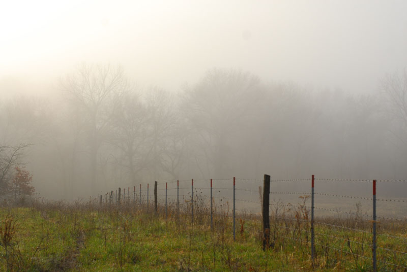 [Titre du site] J'ai chassé la ferme de mon père une dernière fois et j'ai étiqueté le meilleur mâle de ma vie