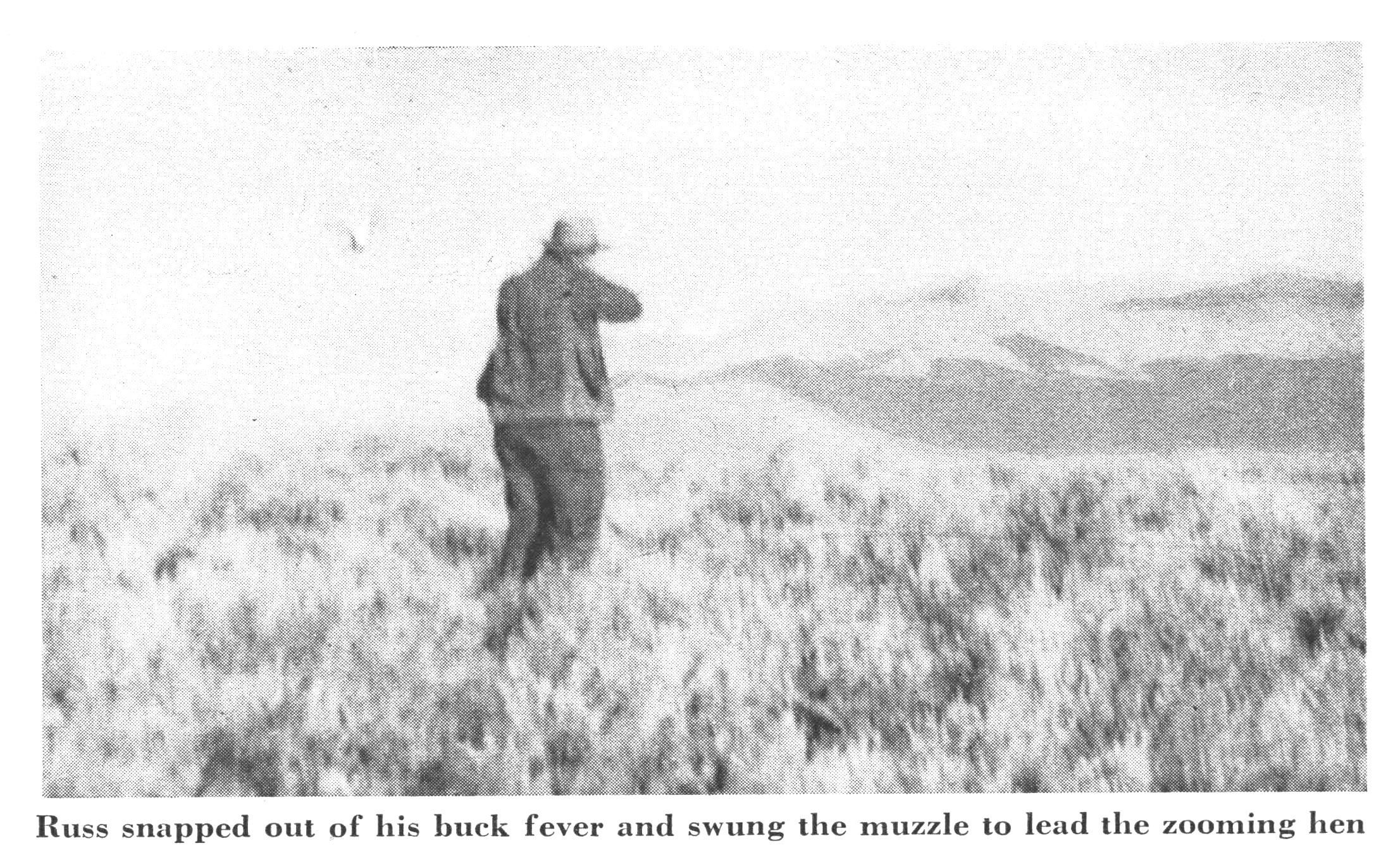 [Titre du site] J'ai été témoin des jours de gloire de la chasse au tétras de sauge