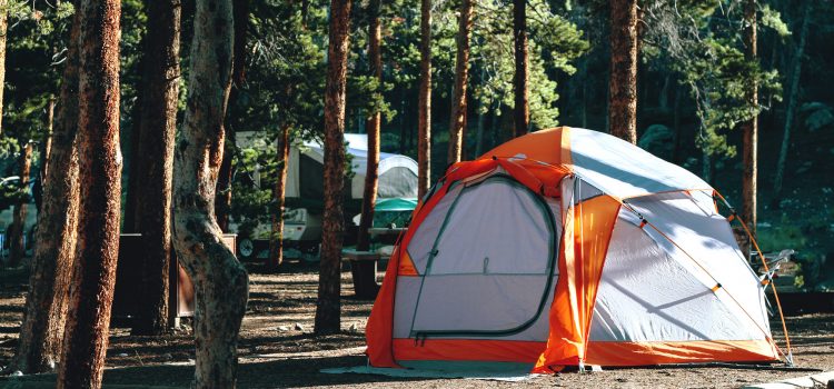 Le camping du Colorado interdit les tentes pour protéger les campeurs des ours Le camping du Colorado interdit les tentes pour protéger les campeurs des ours