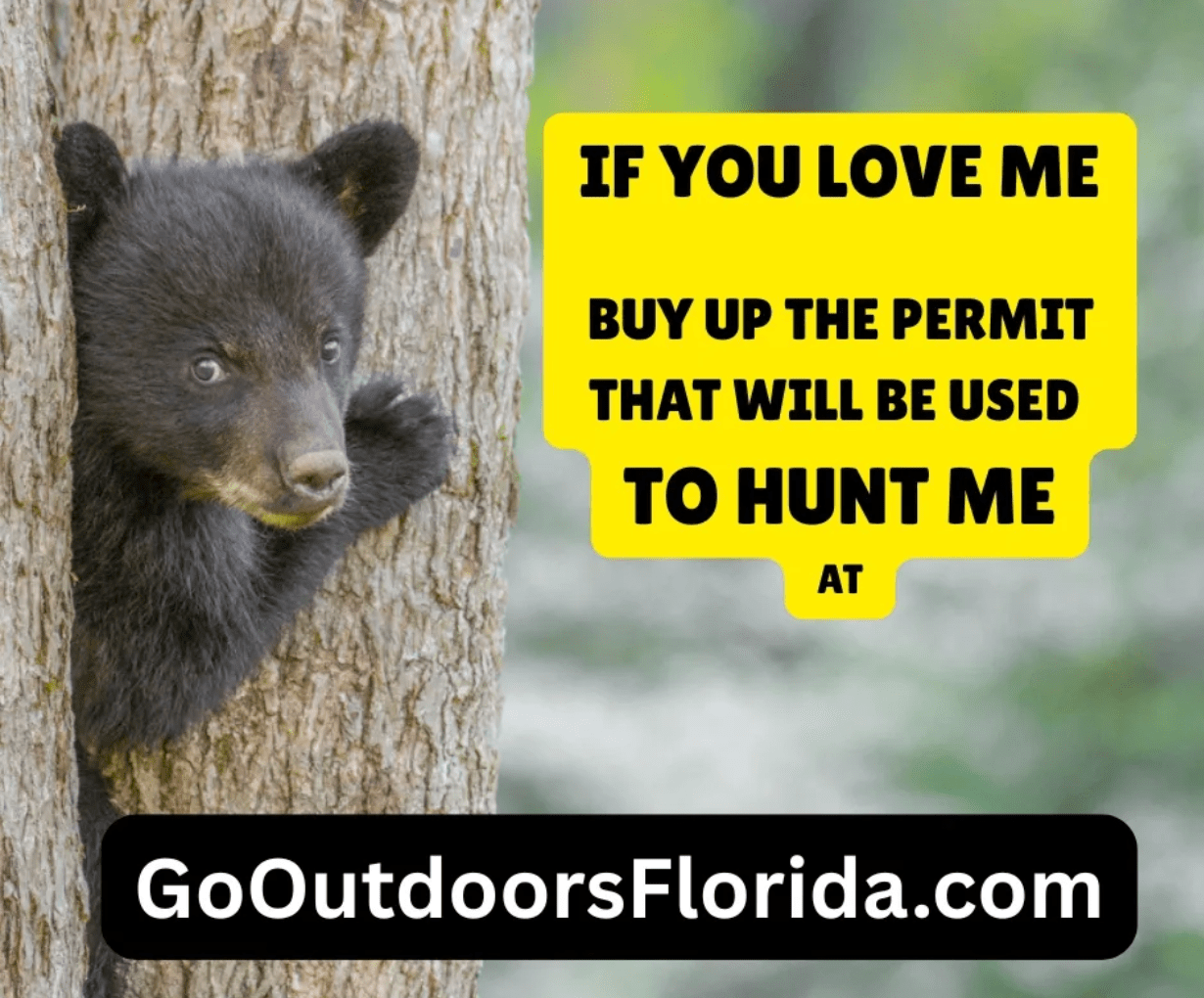 [Titre du site] Les anti-chasseurs essaient de saboter la chasse à l'ours en Floride en inondant la loterie