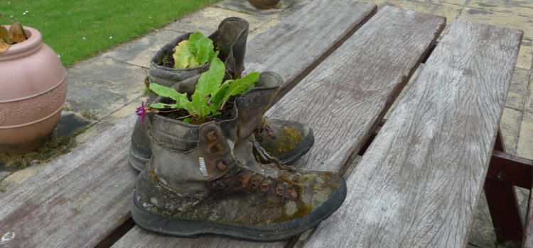 Meilleurs produits de soins des pieds de randonnée SectionHiker.com