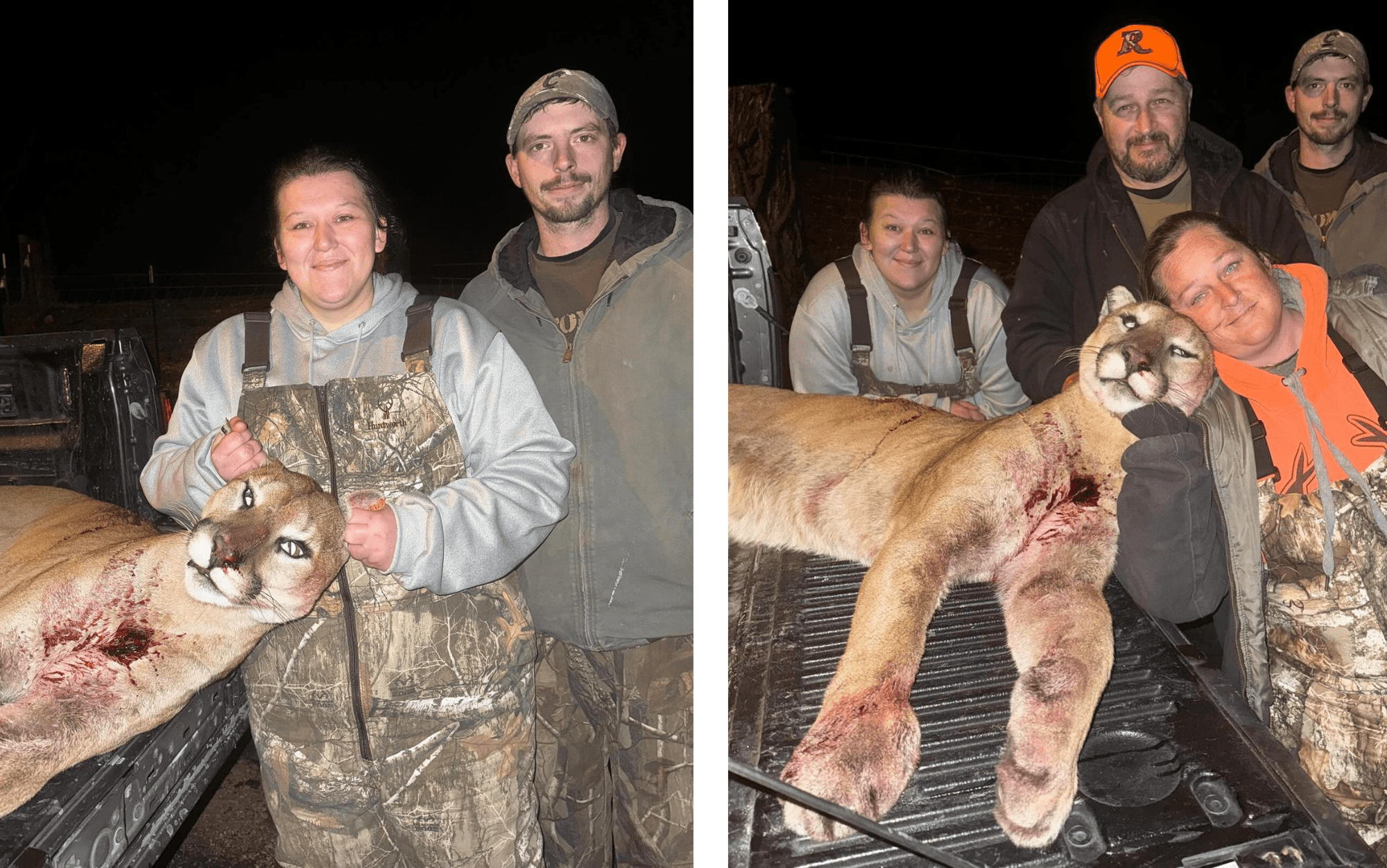 [Titre du site] Missouri Hunter tire illégalement sur Mountain Lion qui a parcouru 800 miles