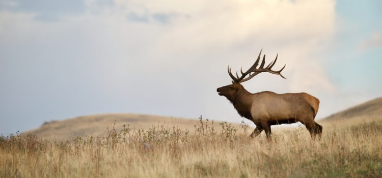 Plus de détails émergent autour du projet de loi publique sur la vente de terrains – et c’est pire que vous ne le pensez Plus de détails émergent autour du projet de loi publique sur la vente de terrains - et c'est pire que vous ne le pensez