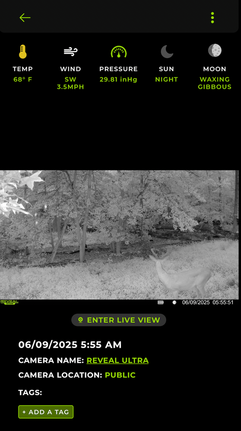 [Titre du site] Premièrement, regardez le nouveau tactacam révéler ultra