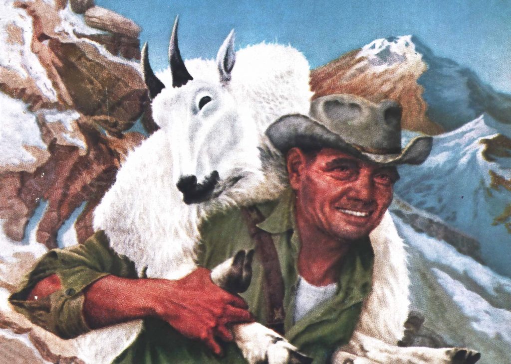 J'ai chassé des chèvres de montagne avec mon poulain Python