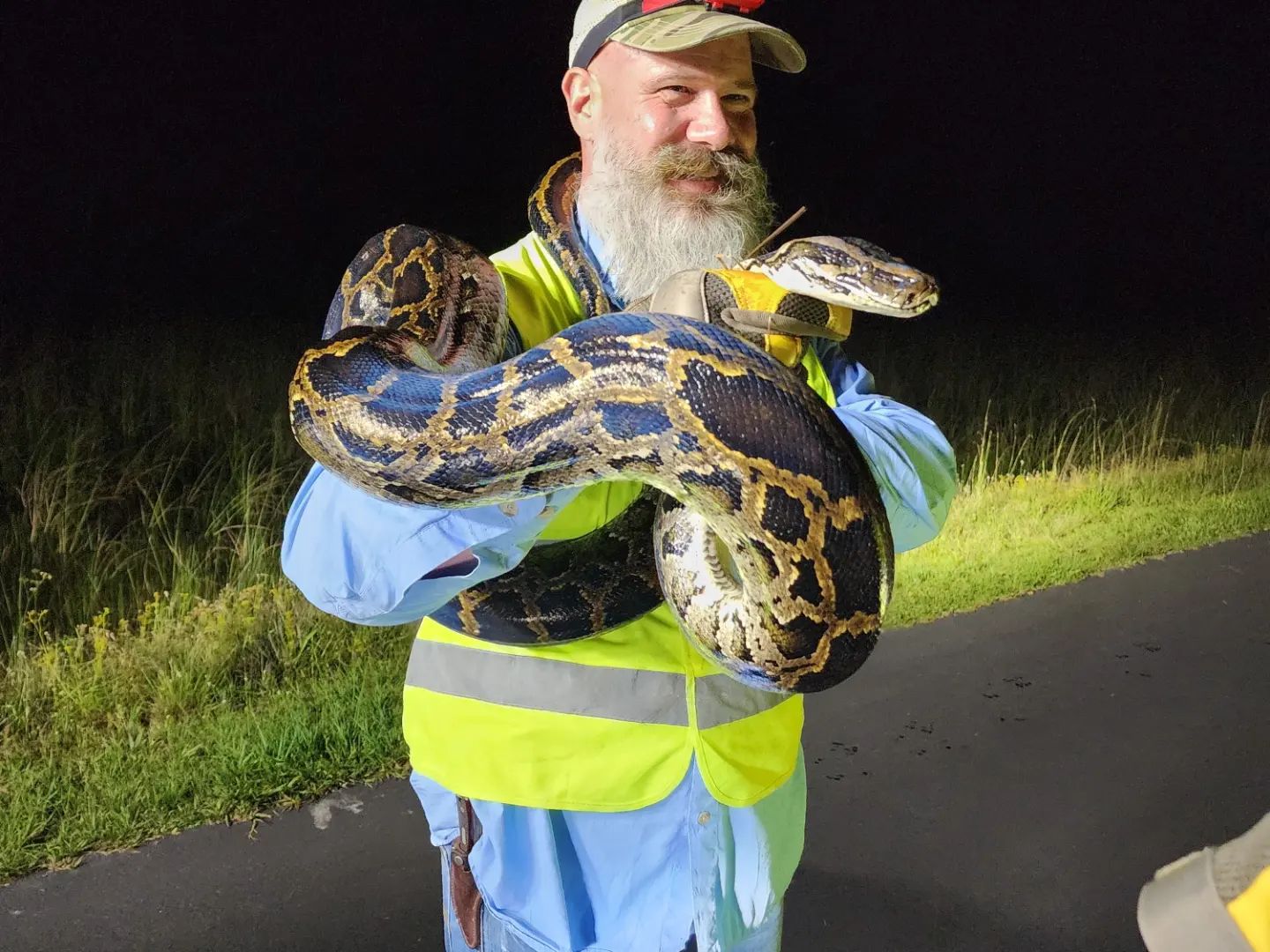 [Titre du site] 19 photos de serpents étranges et sauvages du Florida Python Challenge