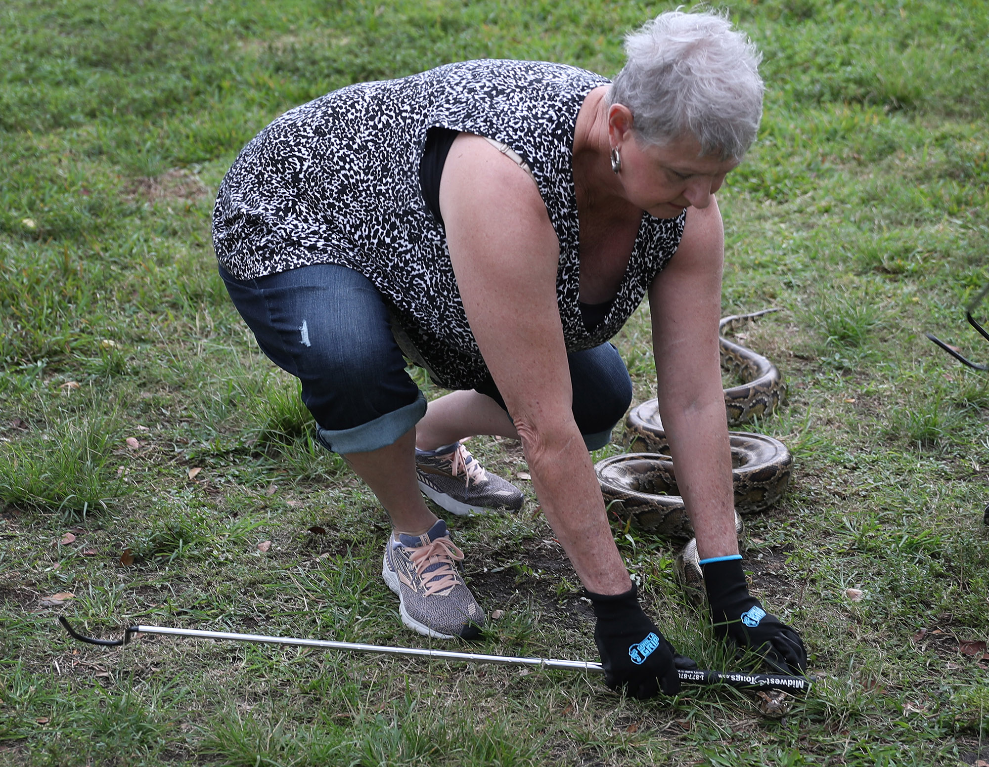[Titre du site] 19 photos de serpents étranges et sauvages du Florida Python Challenge