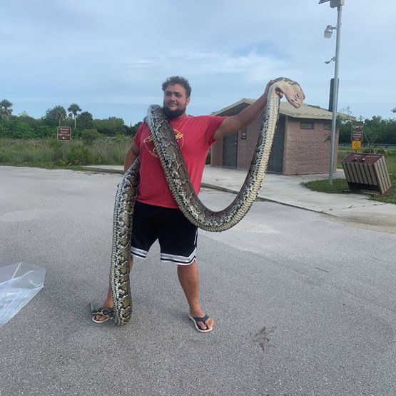 [Titre du site] 19 photos de serpents étranges et sauvages du Florida Python Challenge