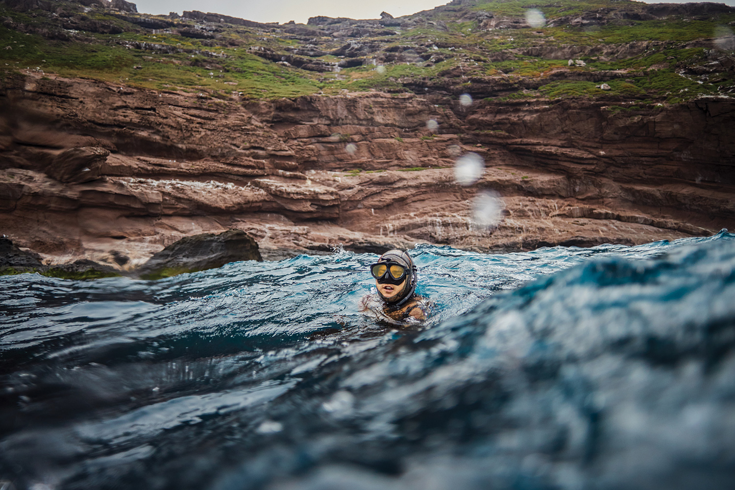 [Titre du site] Ce qu'il faut pour Spearfish pour le bar blanc dans le sud de la Californie
