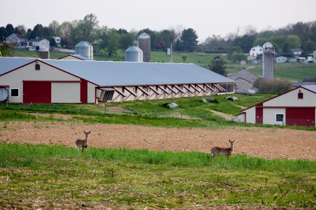 La Pennsylvanie est enfin sur le point de légaliser la chasse du dimanche. Voici pourquoi certains législateurs sont toujours opposés