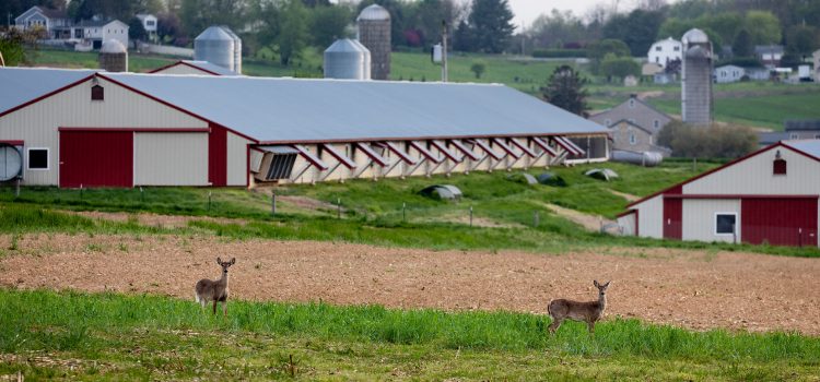 La Pennsylvanie est enfin sur le point de légaliser la chasse du dimanche. Voici pourquoi certains législateurs sont toujours opposés
