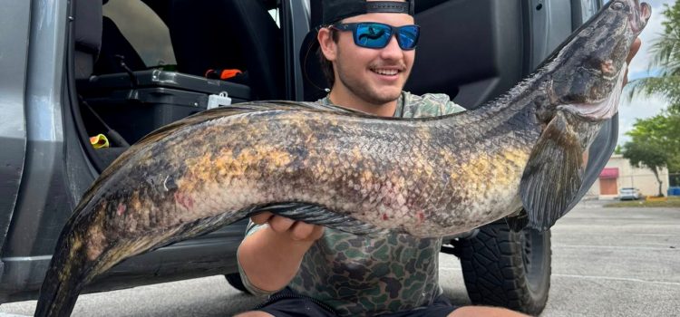 Ce serpent géant vient d'être déclaré nouveau record du monde. Il a été pris dans un canal de Floride
