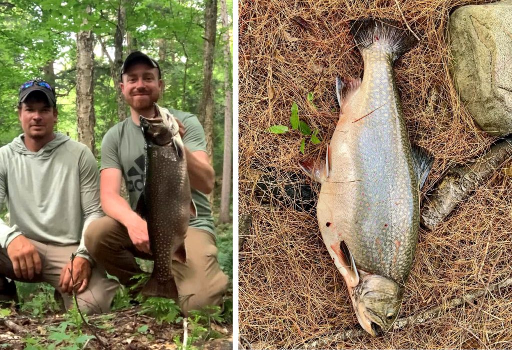 Canoe Tripper attrape, conserve la truite enregistrée dans l'arrière-pays