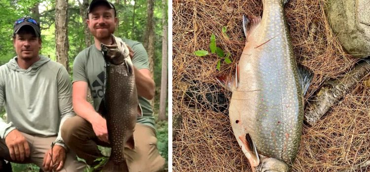 Canoe Tripper attrape, conserve la truite enregistrée dans l'arrière-pays
