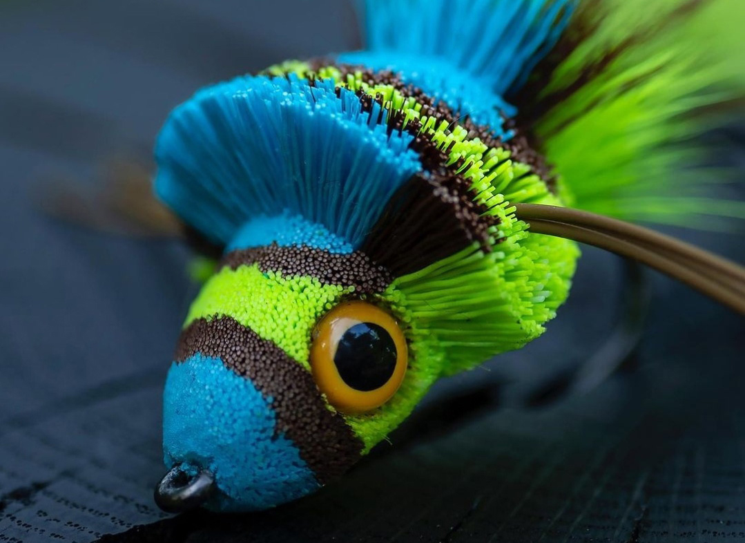 [Titre du site] La mouche de basse à l'ancienne qui tue toujours