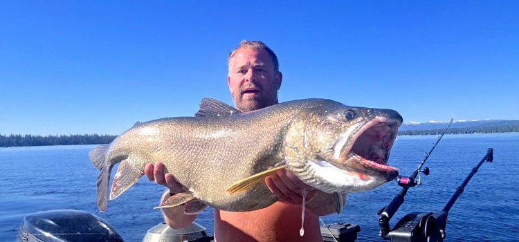 Le nouveau record du lac Trout en Idaho est le signe d’un renaissance de la pêche Le nouveau record du lac Trout en Idaho est le signe d'un renaissance de la pêche