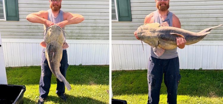 Les luttes de pêcheur à la bale Les luttes de pêcheur à la bale