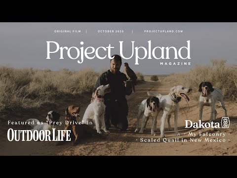 [Titre du site] La fauconnerie demande une discipline, une endurance et une meute de chiens d'oiseaux