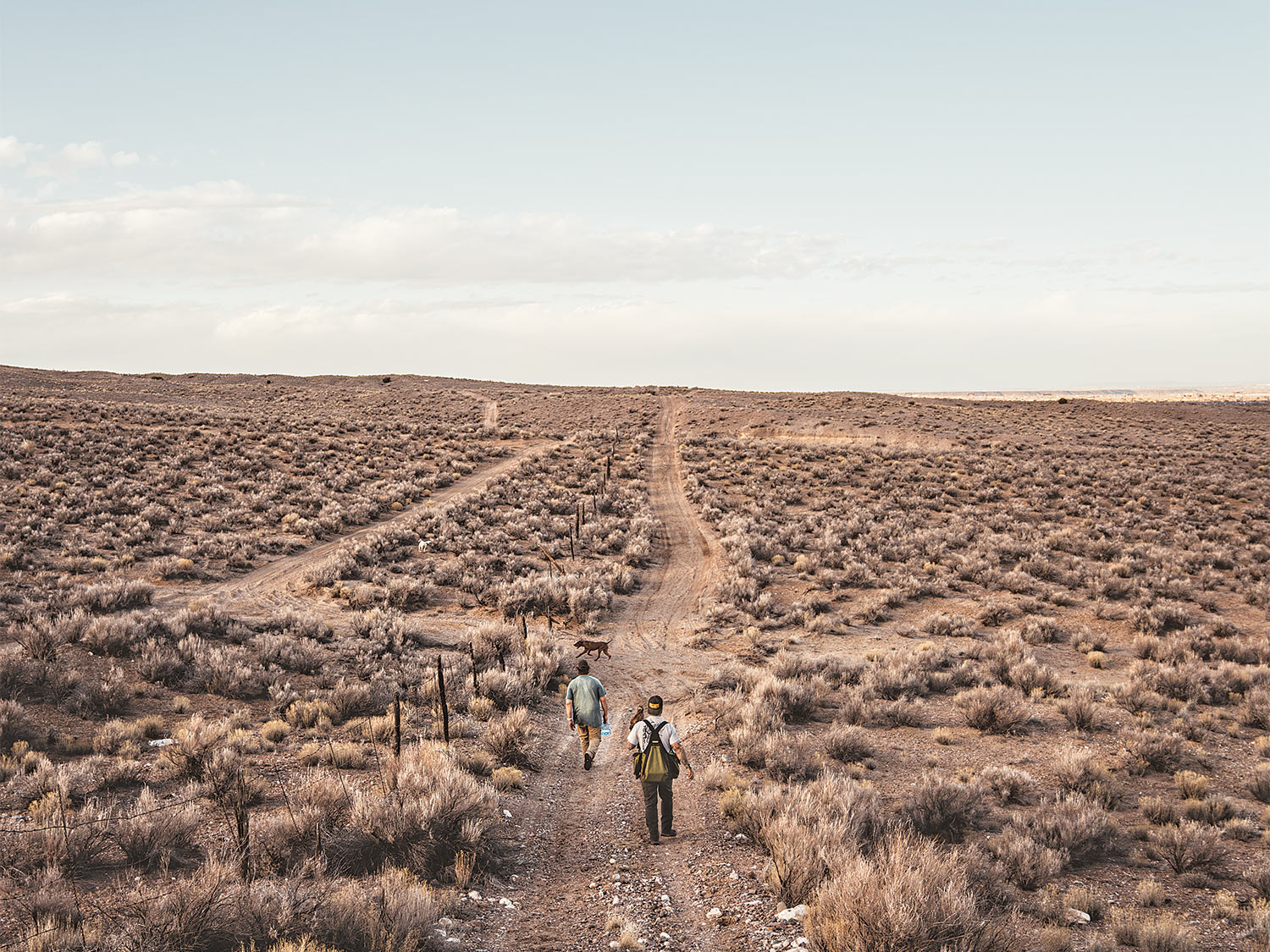 [Titre du site] La fauconnerie demande une discipline, une endurance et une meute de chiens d'oiseaux