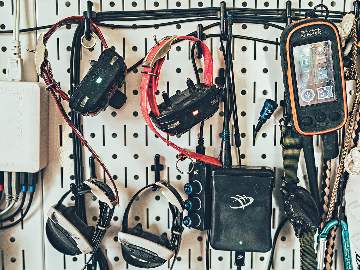 [Titre du site] La fauconnerie demande une discipline, une endurance et une meute de chiens d'oiseaux