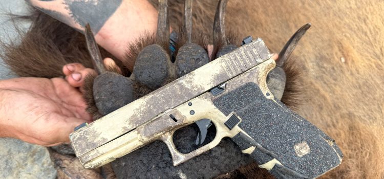 Nous avons arrêté un grizzli de charge à 5 mètres! Nous avons arrêté un grizzli de charge à 5 mètres!