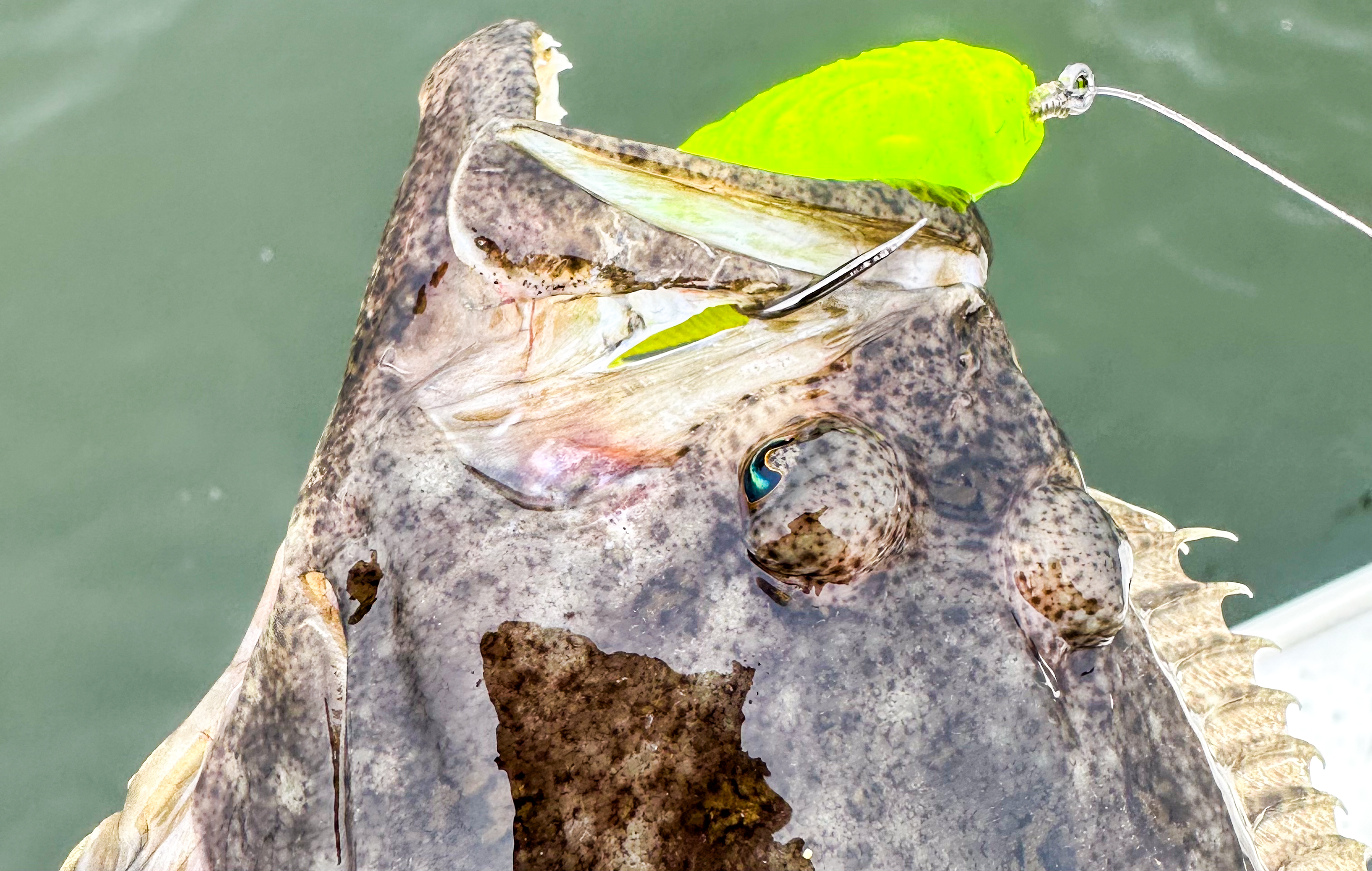 [Titre du site] Comment devenir un poêle de fleunts de bateau de fête
