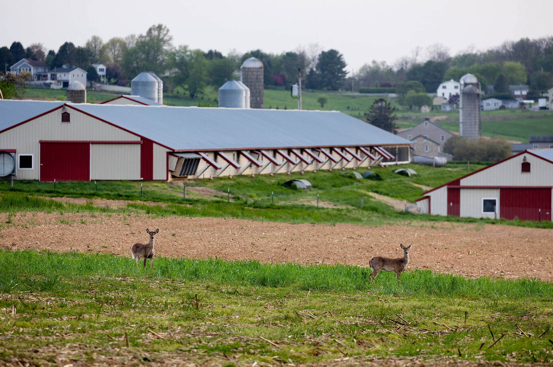 [Titre du site] La Pennsylvanie est enfin sur le point de légaliser la chasse du dimanche. Voici pourquoi certains législateurs sont toujours opposés