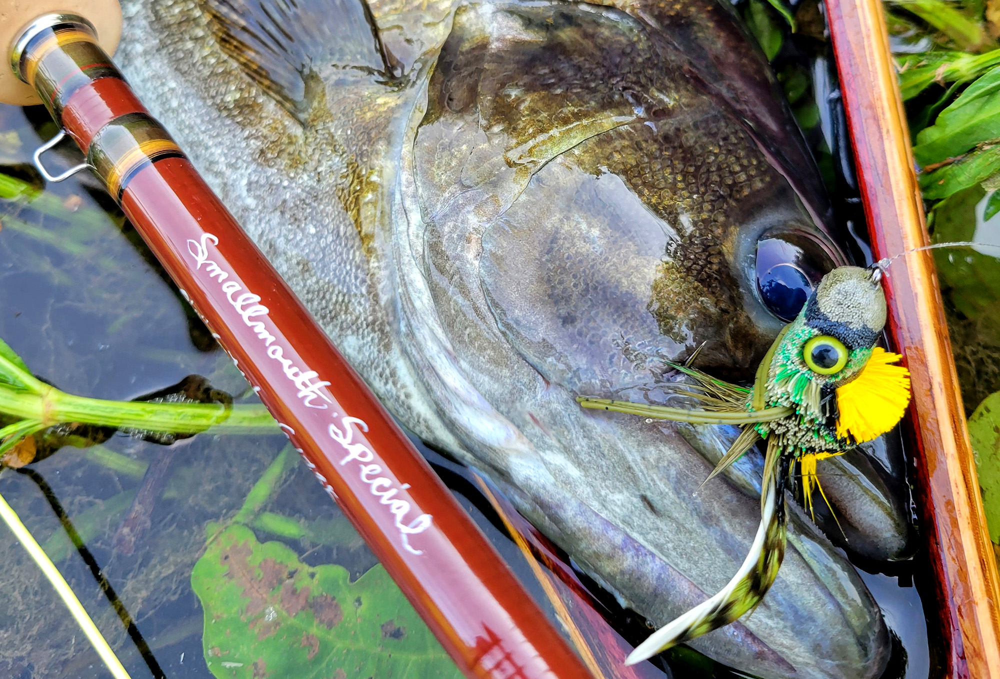 [Titre du site] La mouche de basse à l'ancienne qui tue toujours