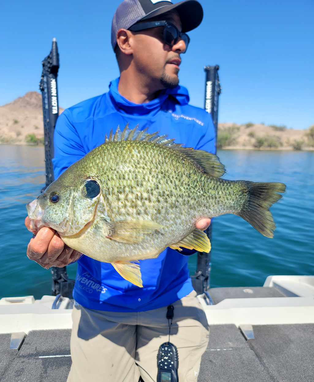 [Titre du site] Le poisson-soleil géant qui a combattu comme une basse à petite bouche est un nouveau record