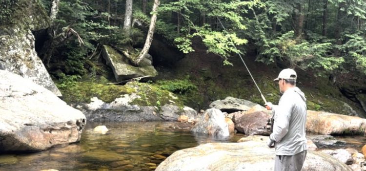 Le randonnée et la pêche à la mouche Brook (Vermont) SectionHiker.com
