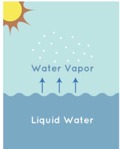 [Titre du site] MVTR a expliqué: Importance dans les vêtements en plein air