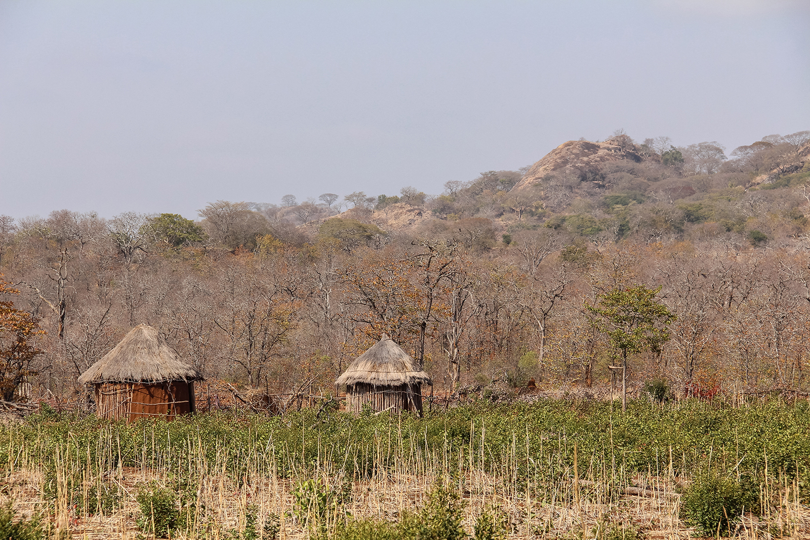 [Titre du site] Mon safari africain s'est presque terminé par une fusillade