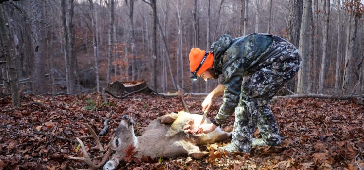 9 conseils d’experts en matière de dressage de terrain qui rendront l’éviscémie un cerf beaucoup plus facile 9 conseils d'experts en matière de dressage de terrain qui rendront l'éviscémie un cerf beaucoup plus facile