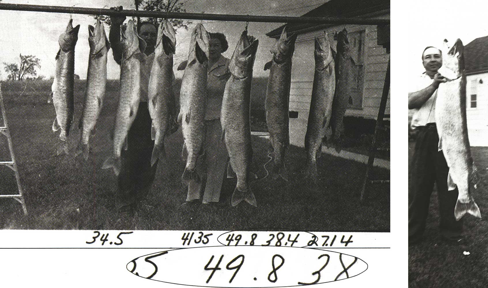 [Titre du site] Le muskie record du monde qui s'est avéré être un canular