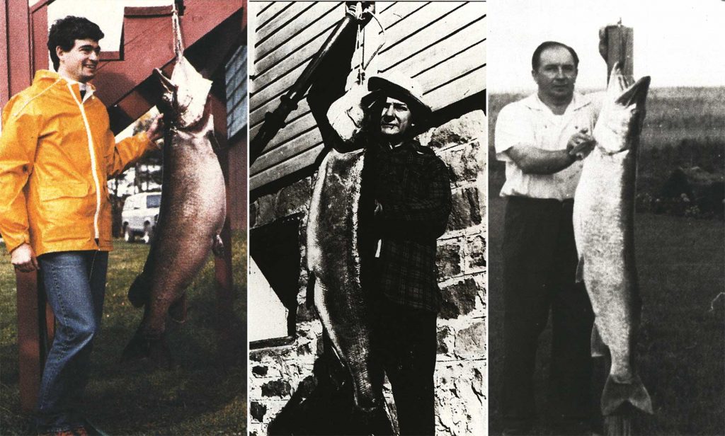 Le muskie record du monde qui s'est avéré être un canular